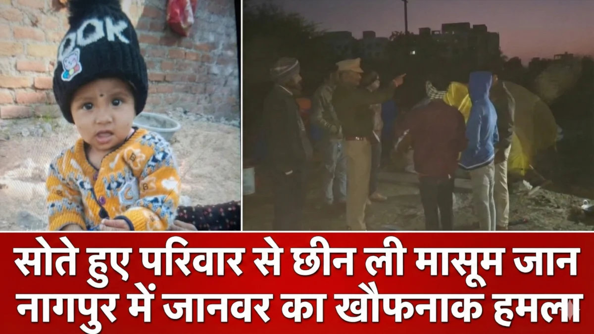 Animal attack Nagpur incident site where 8 month old child died in Hudkeshwar area