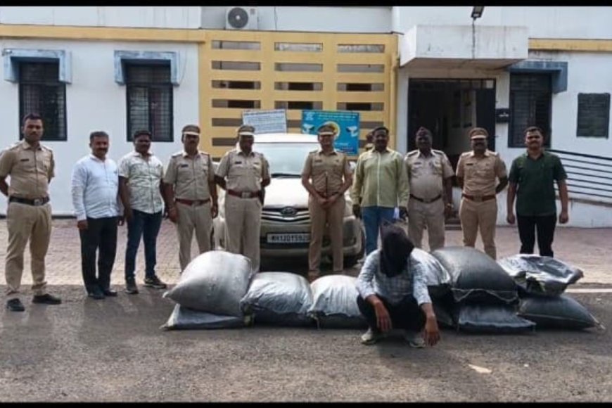 धुळे में इनोवा कार से 181 किलो अफीम तस्करी, पुलिस ने एक को पकड़ा